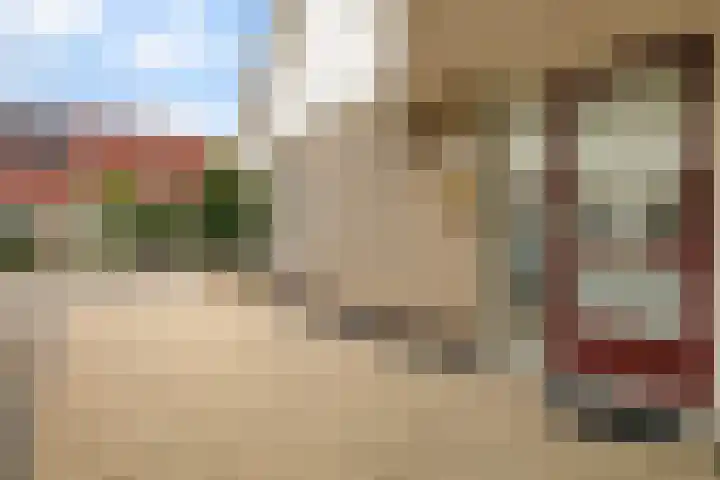 drs. S. van Tuinenleane 30 Dokkum thumbnail 8