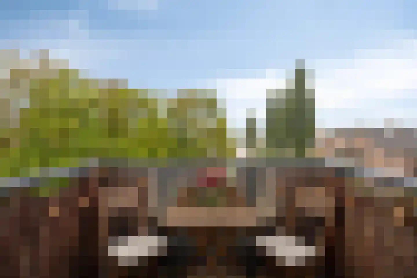 DRU-laan 63 Ulft thumbnail 20