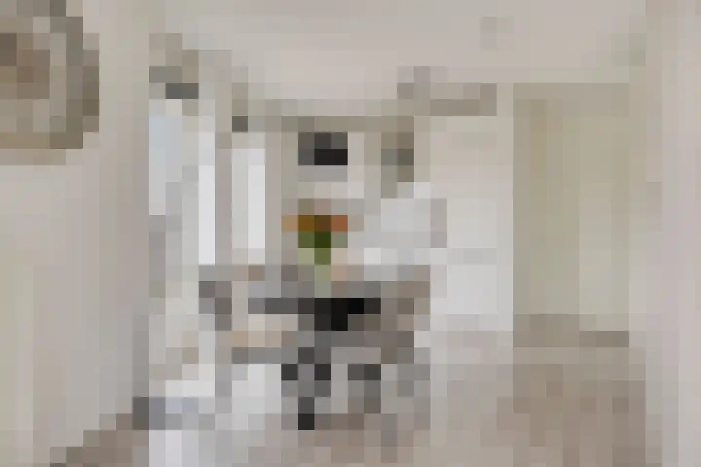 DRU-laan 63 Ulft thumbnail 9