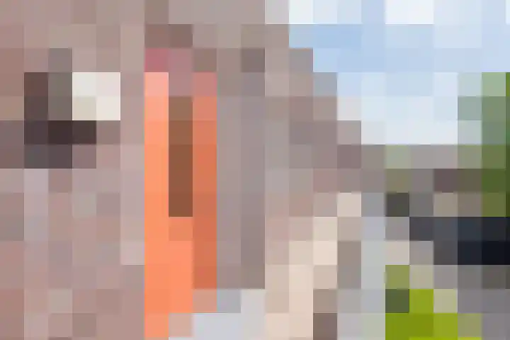 DRU-laan 69 Ulft thumbnail 12