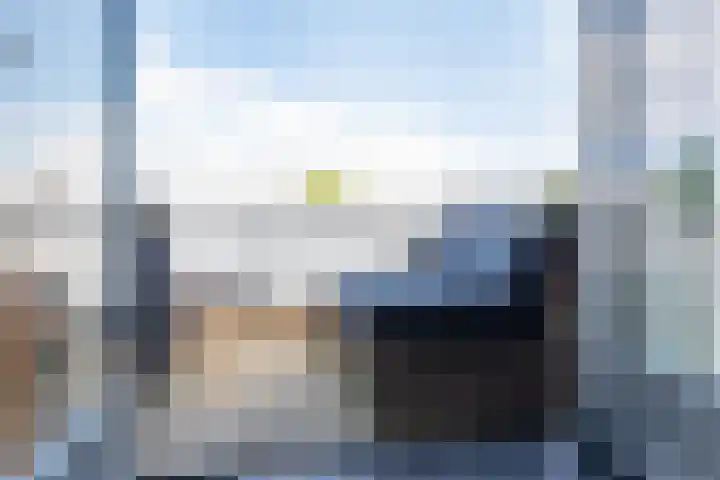 DRU-laan 69 Ulft thumbnail 29