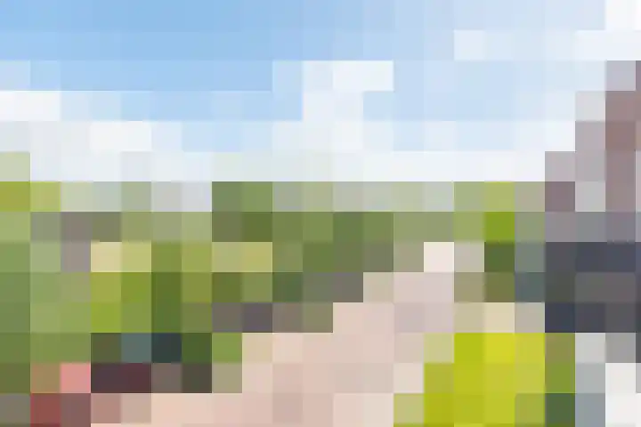 DRU-laan 69 Ulft thumbnail 30