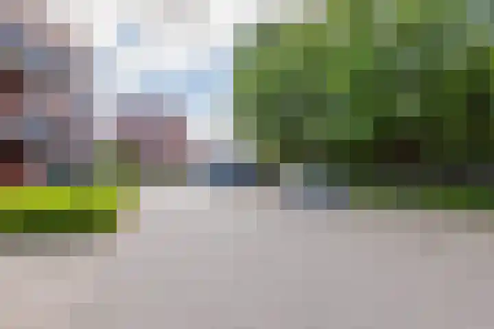 DRU-laan 69 Ulft thumbnail 35
