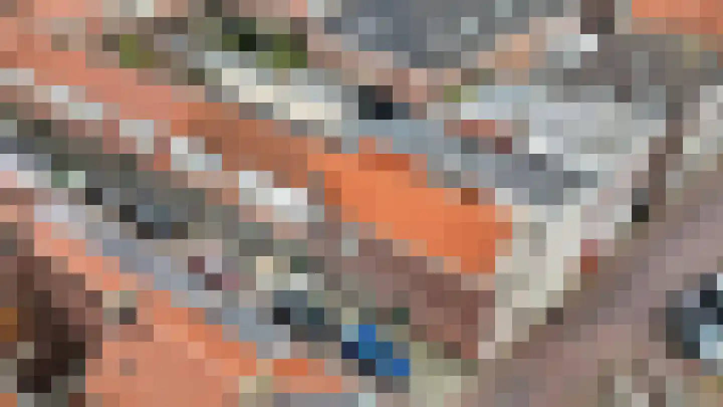 Druckerstraat 1 E Leiden thumbnail 32