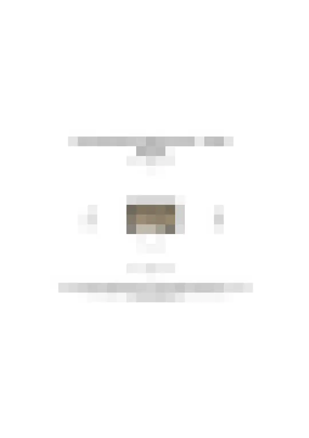 Druckerstraat 1 E Leiden thumbnail 37