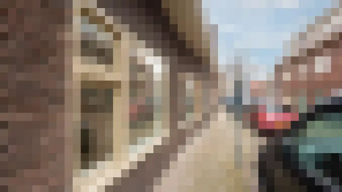 Druckerstraat 1 E Leiden thumbnail 38