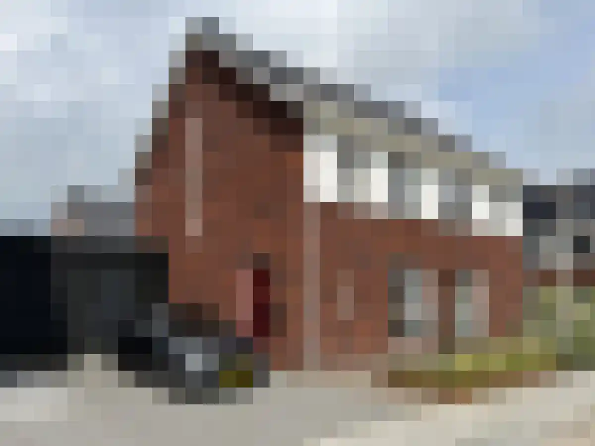 Druifheide 13 Helmond foto 2