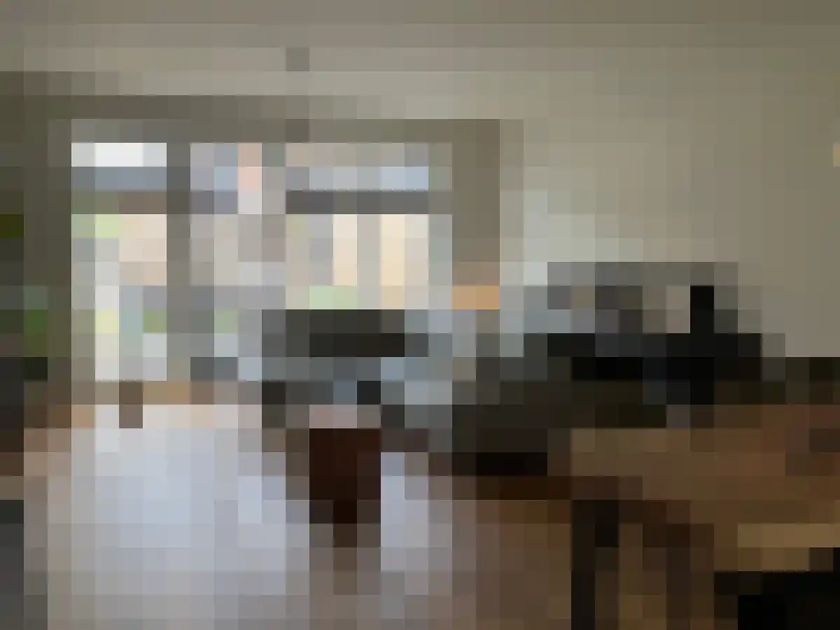 Druifheide 13 Helmond thumbnail 6