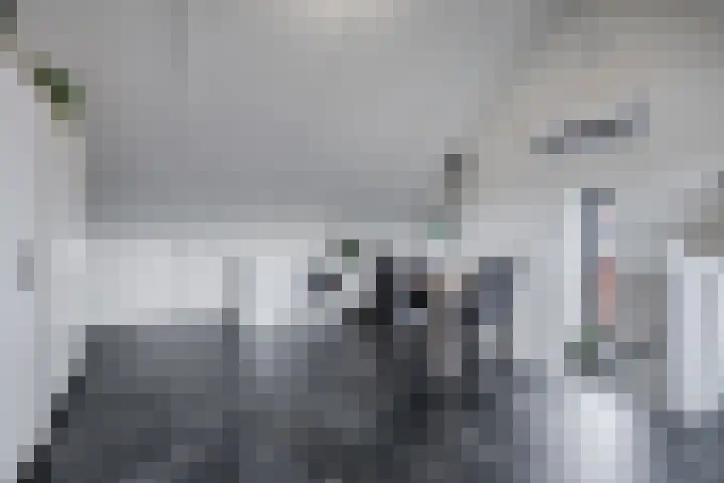 Druifheide 4 Helmond thumbnail 19