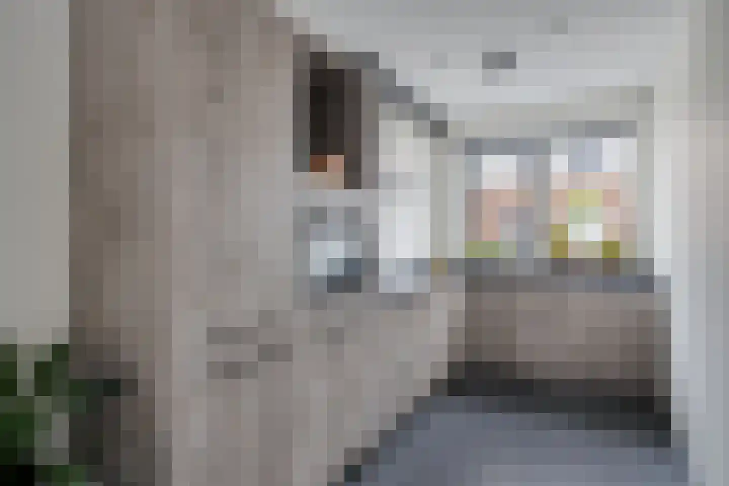 Druifheide 4 Helmond thumbnail 8