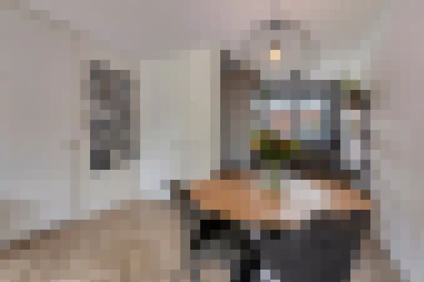 Druifheide 7 Helmond thumbnail 20