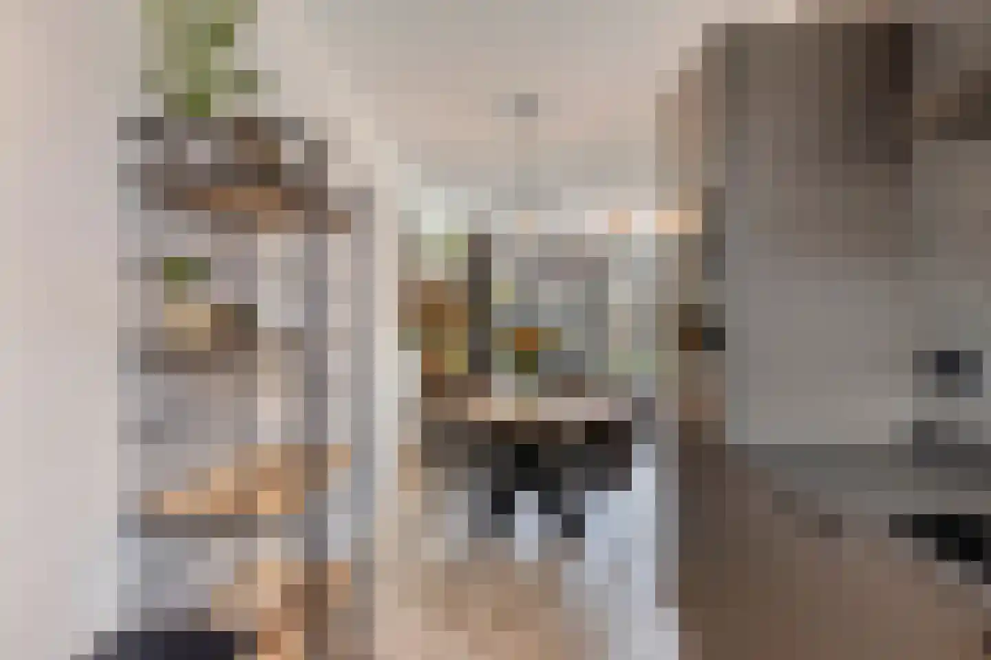 Druifheide 7 Helmond thumbnail 21