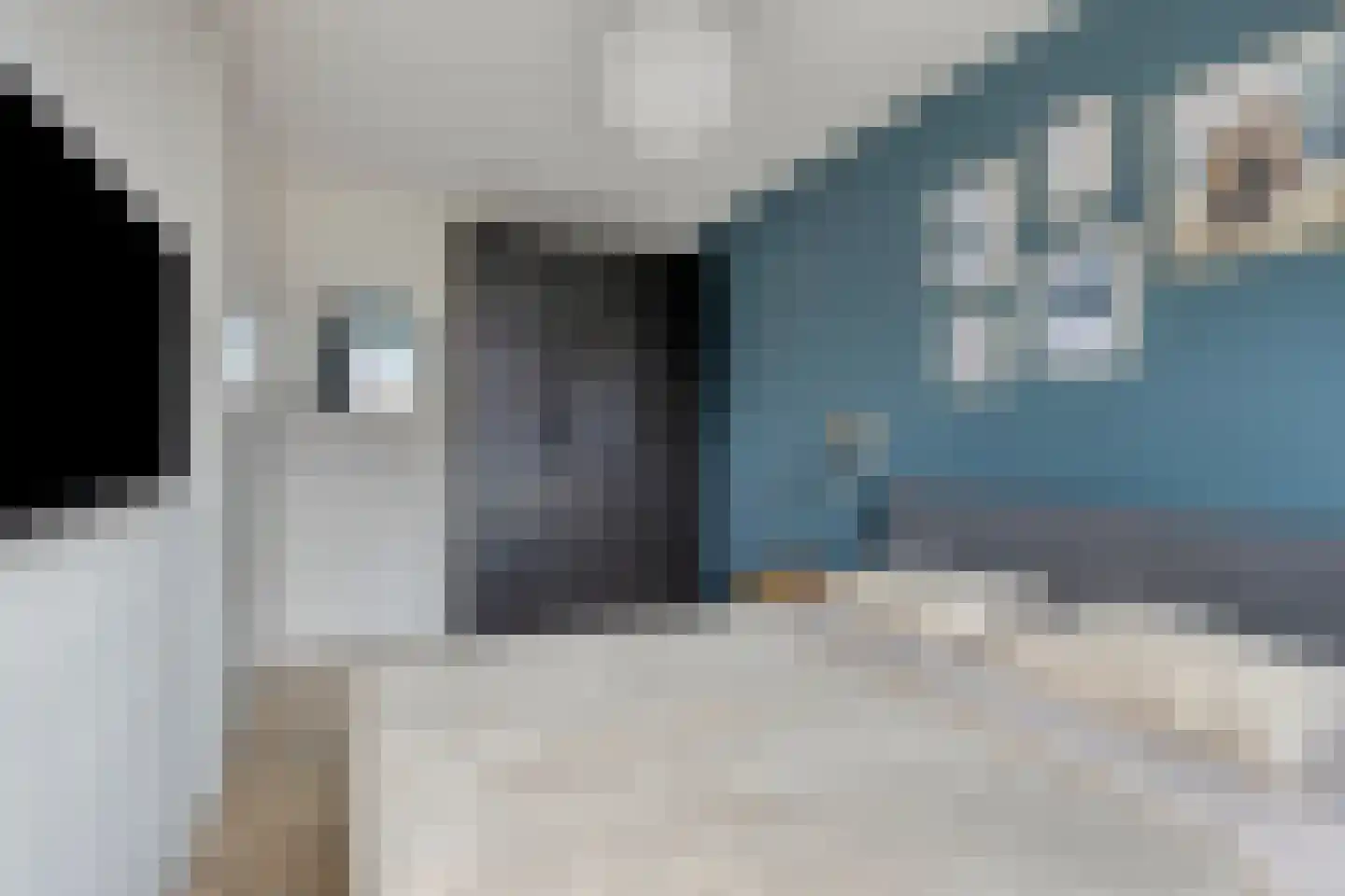 Druifheide 7 Helmond thumbnail 28