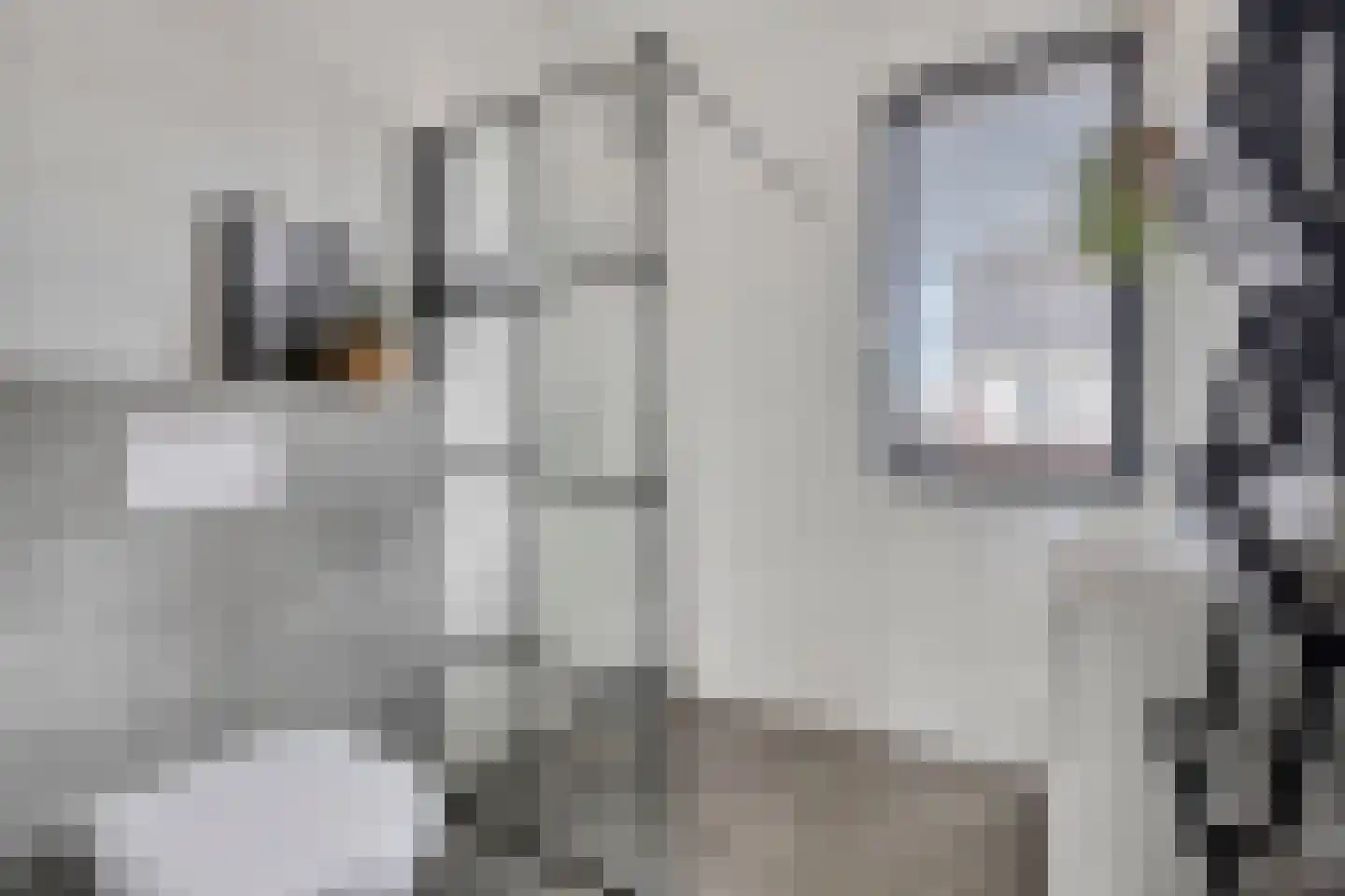 Druifheide 7 Helmond thumbnail 32