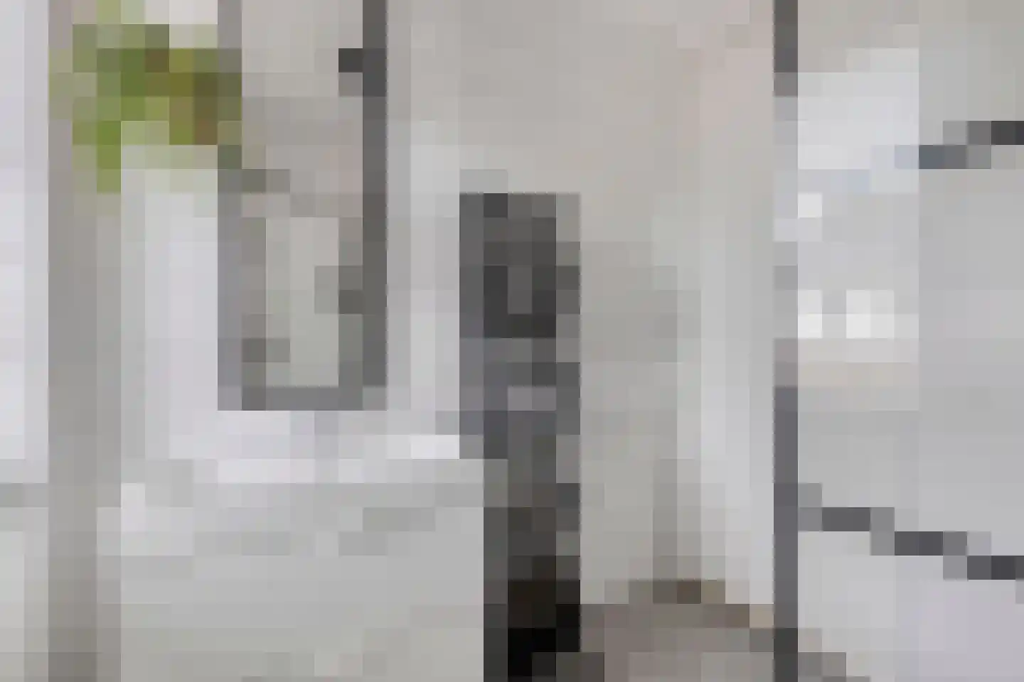 Druifheide 7 Helmond thumbnail 33