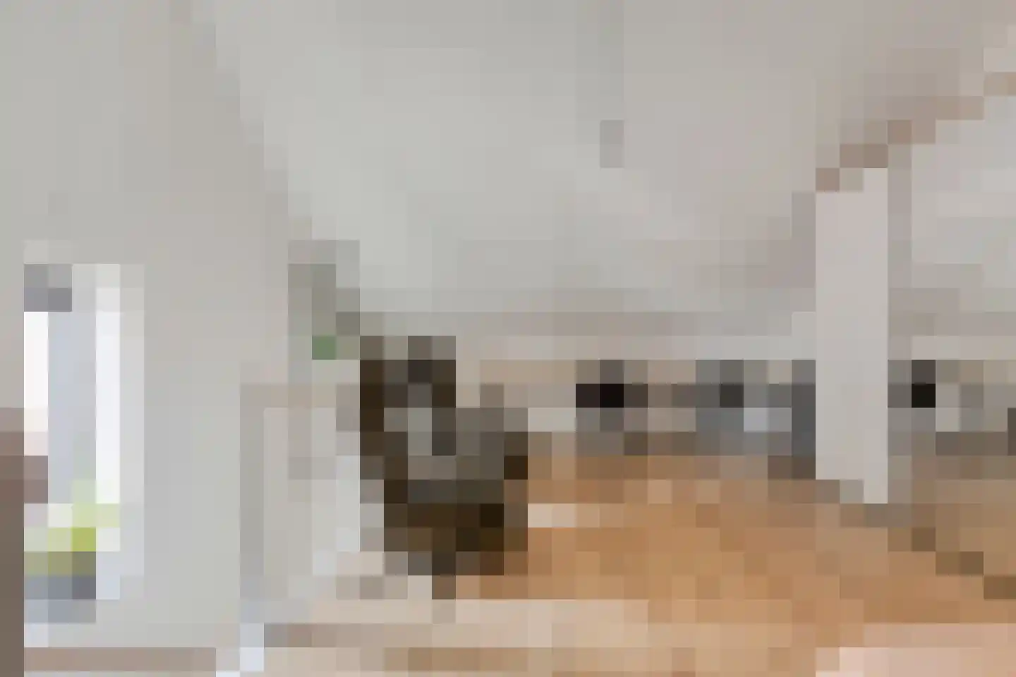 Druifheide 7 Helmond thumbnail 36