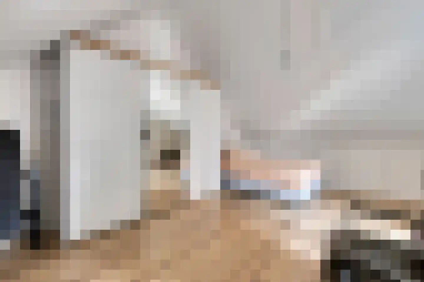 Druifheide 7 Helmond thumbnail 37