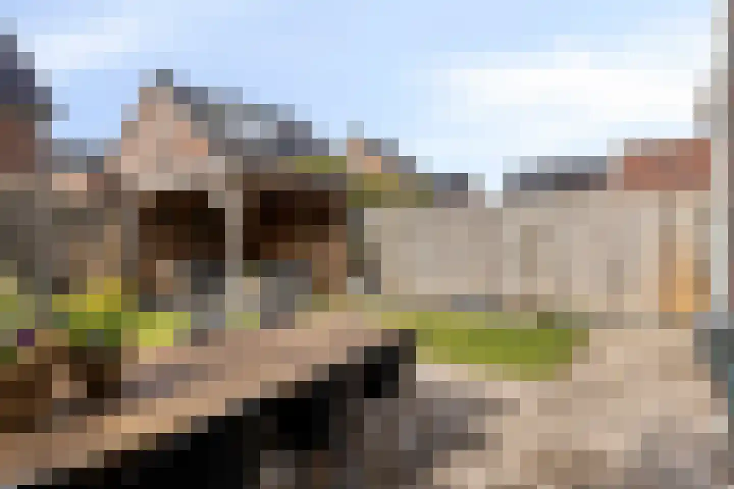 Druifheide 7 Helmond thumbnail 42