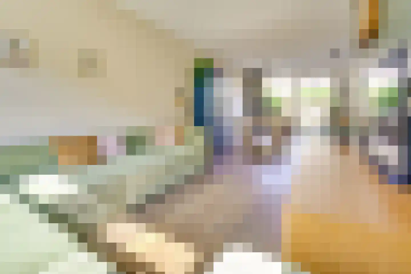 Druifstraat 24 Utrecht thumbnail 11