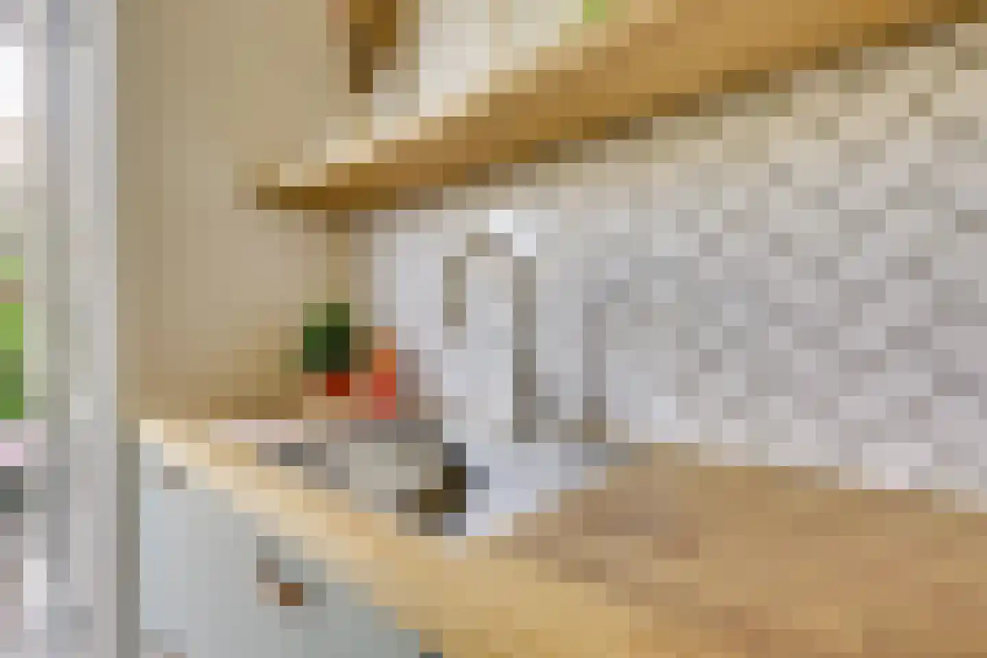 Druifstraat 24 Utrecht thumbnail 18