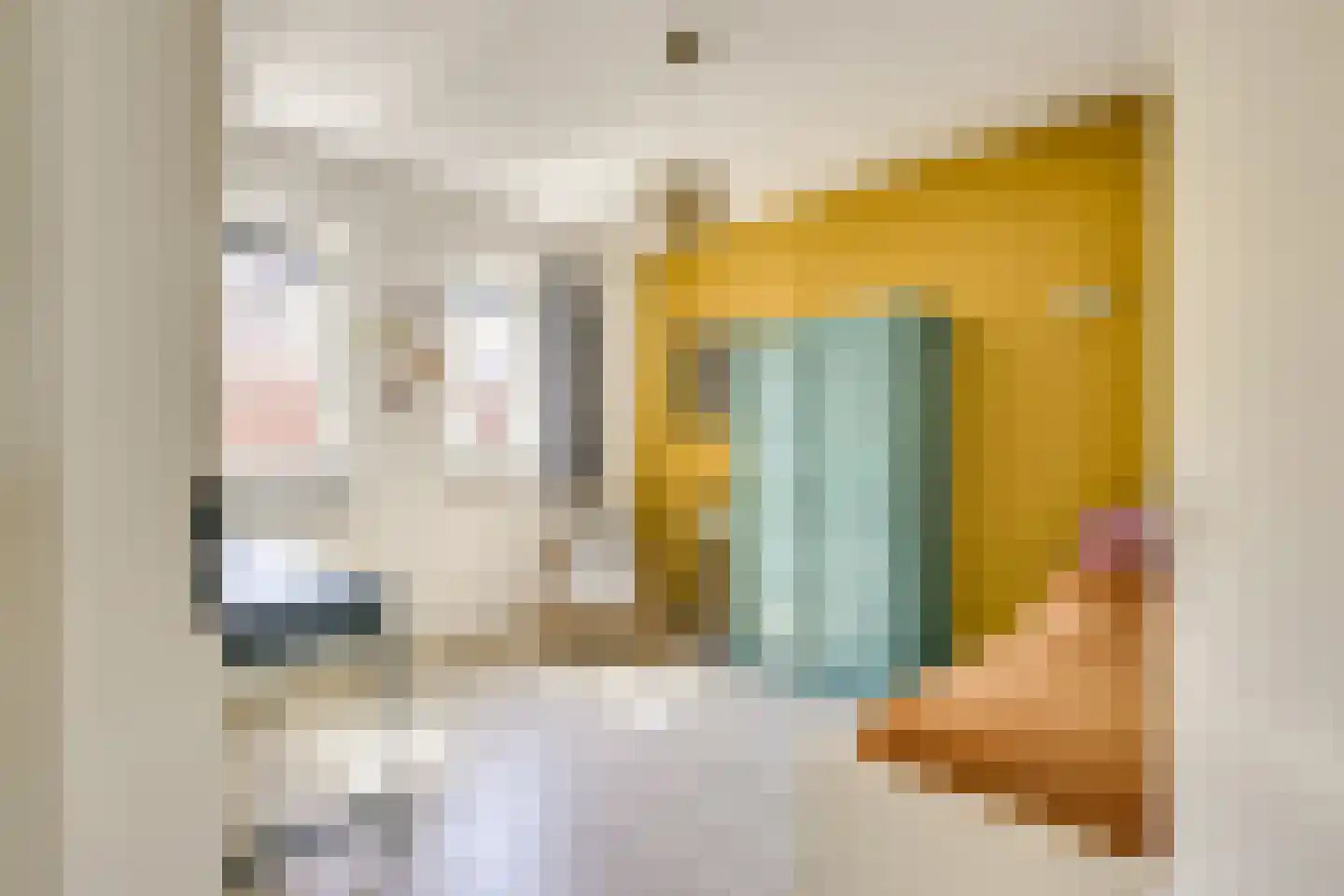 Druifstraat 24 Utrecht thumbnail 28