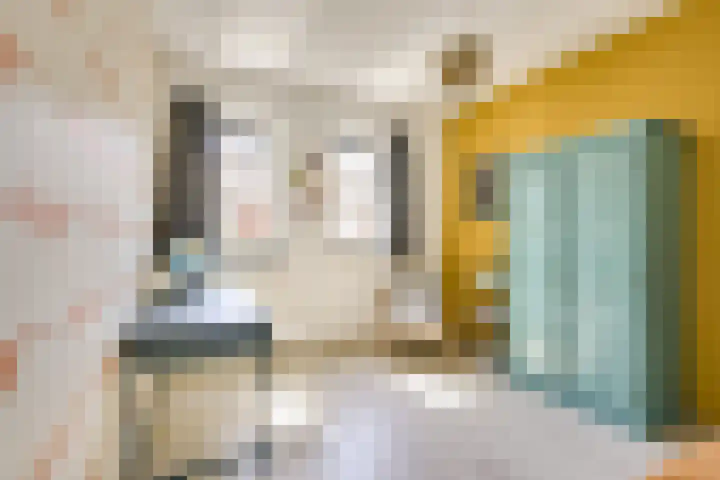 Druifstraat 24 Utrecht thumbnail 29