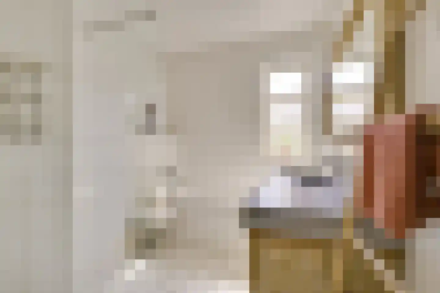 Druifstraat 24 Utrecht thumbnail 33