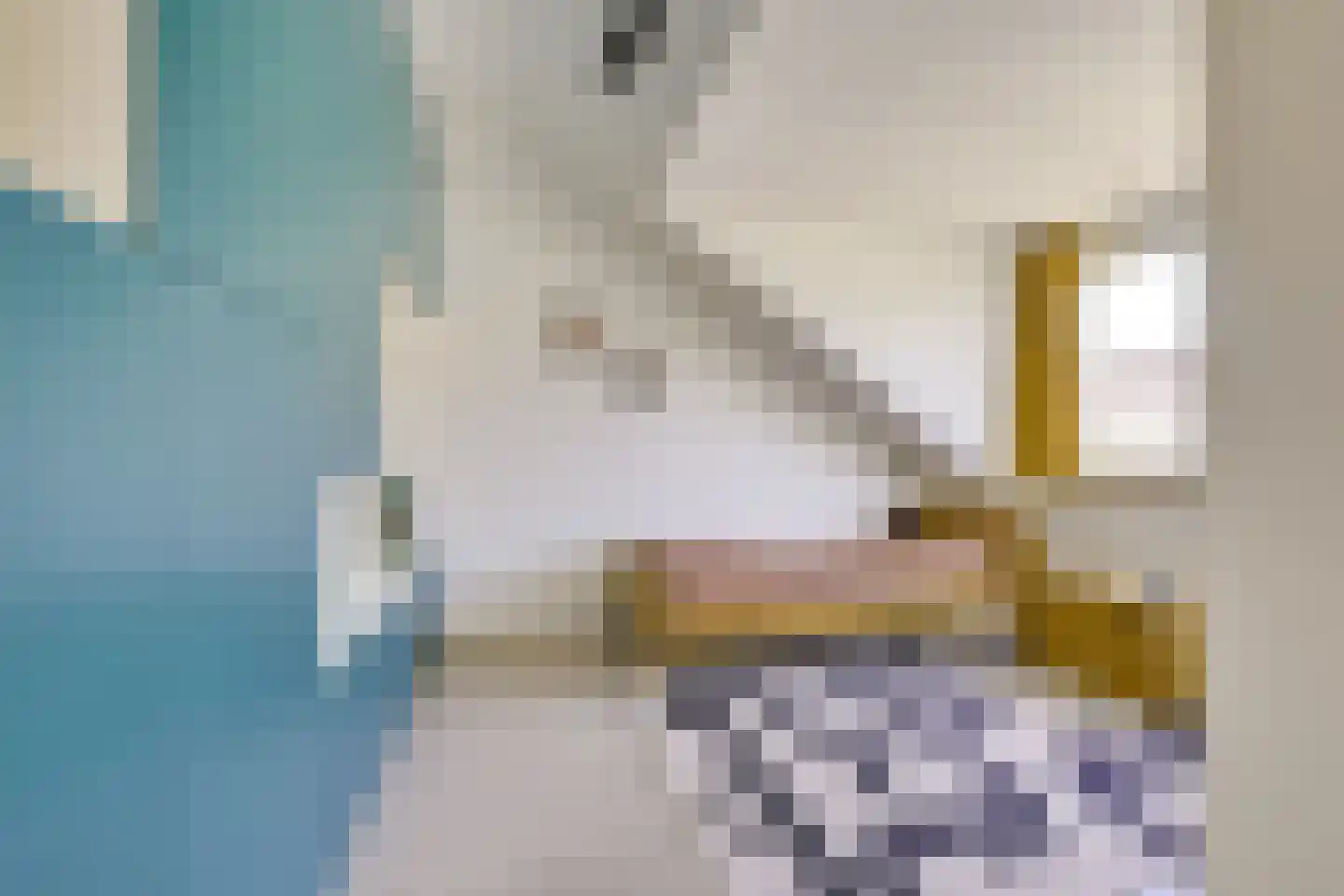 Druifstraat 24 Utrecht thumbnail 38
