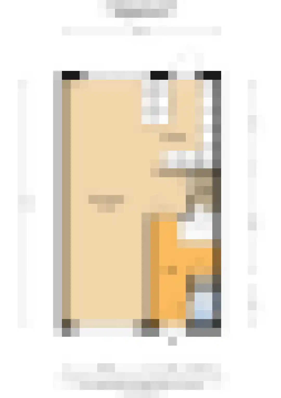 Druifstraat 24 Utrecht thumbnail 41