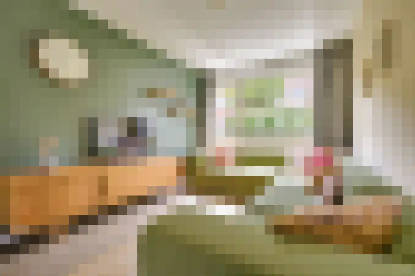 Druifstraat 24 Utrecht thumbnail 9