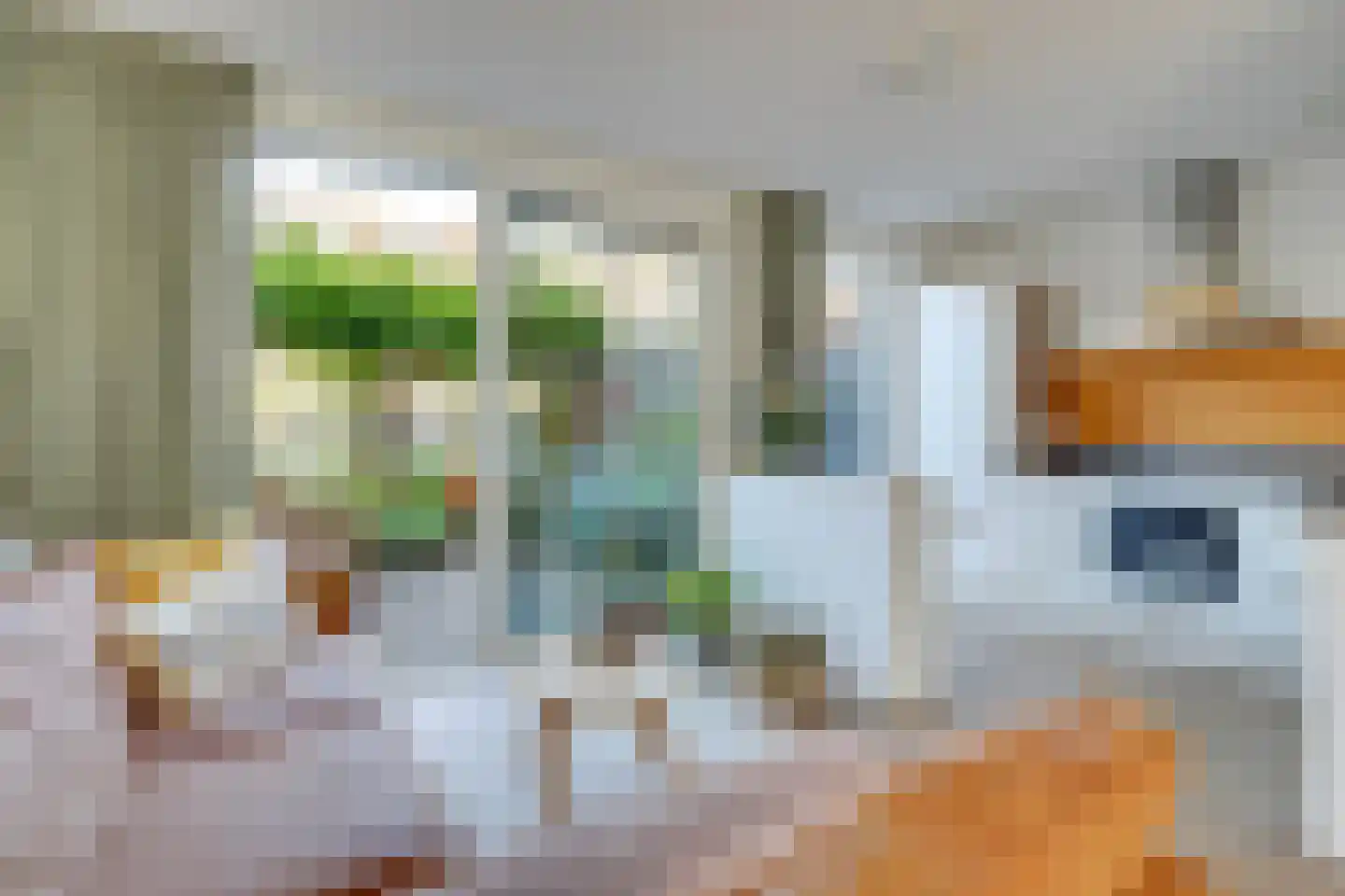 Druifstraat 28 Utrecht thumbnail 13