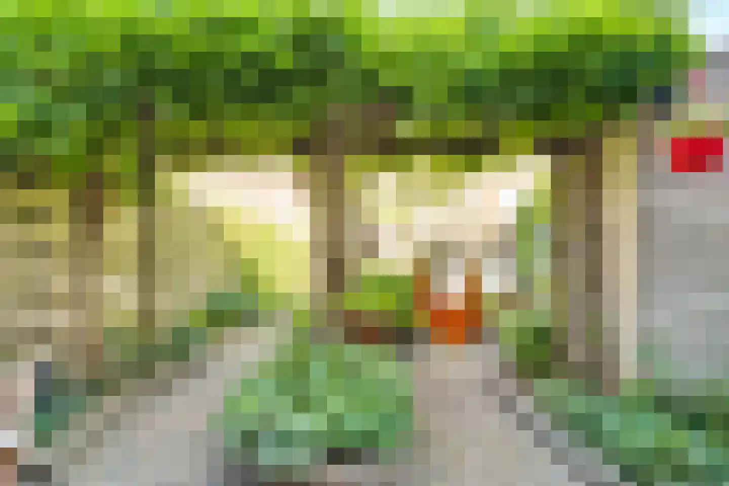 Druifstraat 28 Utrecht thumbnail 18
