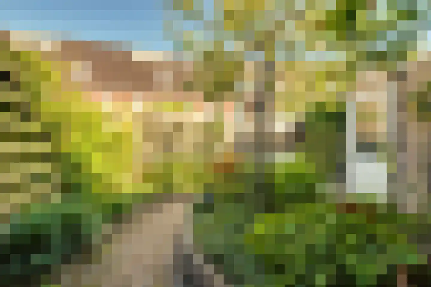 Druifstraat 28 Utrecht thumbnail 19