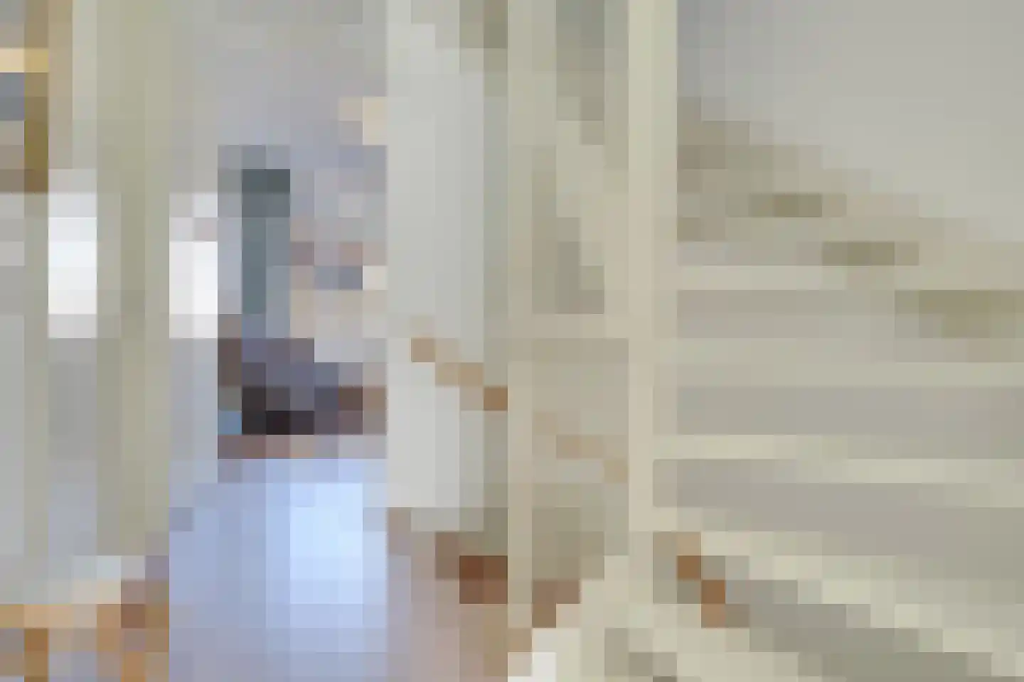 Druifstraat 28 Utrecht thumbnail 32