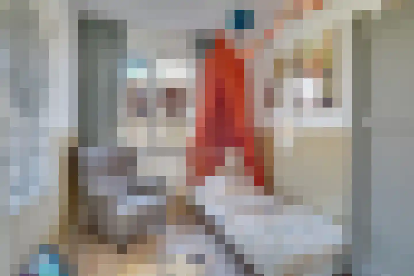 Druifstraat 28 Utrecht thumbnail 33