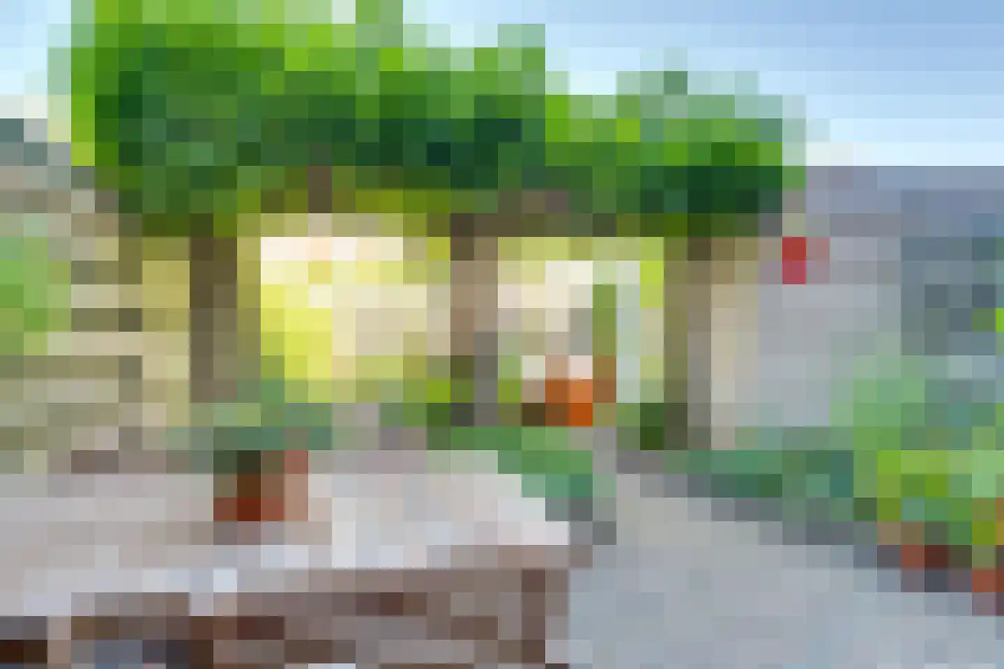Druifstraat 28 Utrecht thumbnail 4
