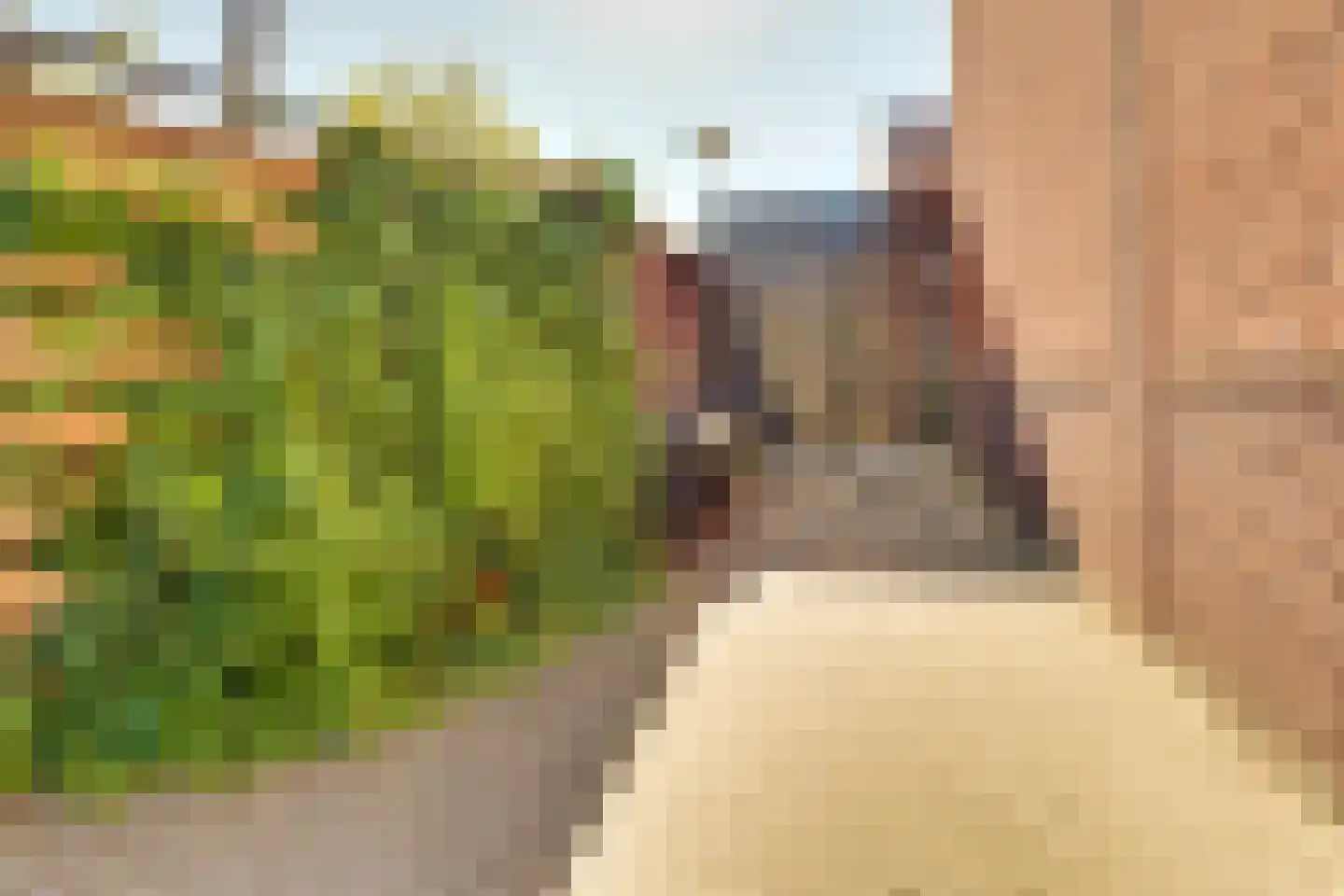 Druifstraat 28 Utrecht thumbnail 46