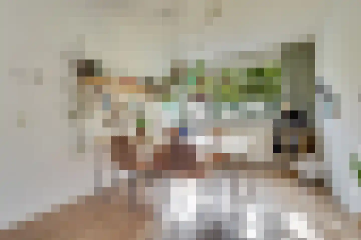 Druifstraat 28 Utrecht thumbnail 8