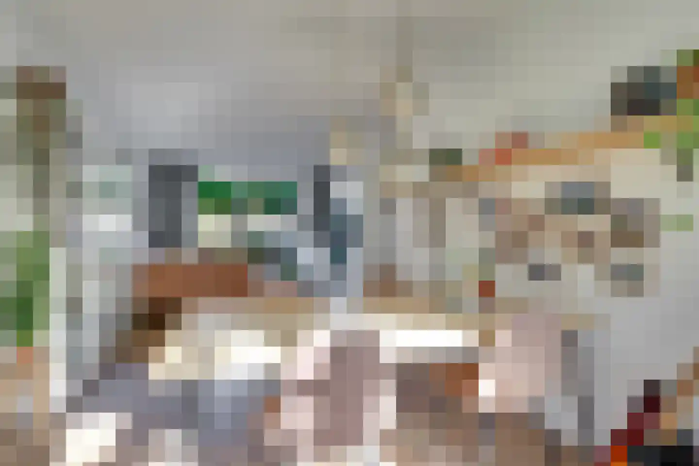 Druifstraat 28 Utrecht thumbnail 9