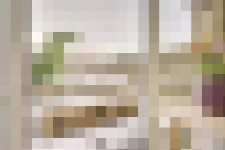Druifstraat 6 Utrecht thumbnail 10