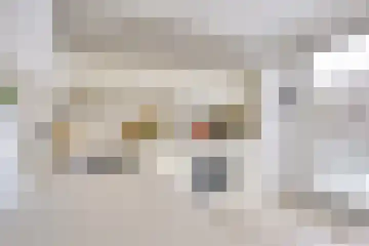 Druifstraat 6 Utrecht thumbnail 11