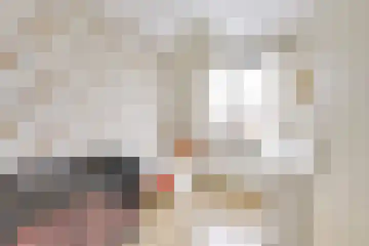 Druifstraat 6 Utrecht thumbnail 18