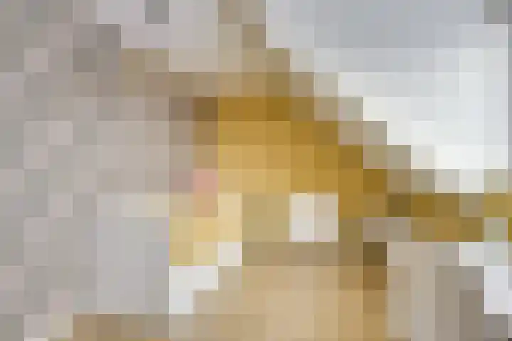 Druifstraat 6 Utrecht thumbnail 26