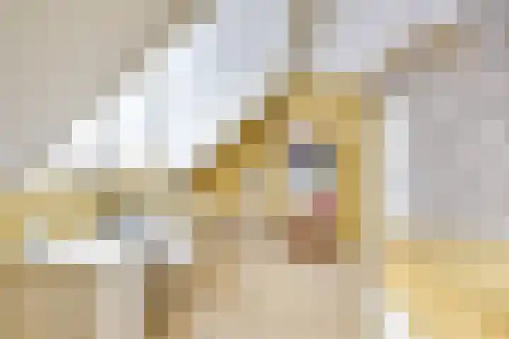 Druifstraat 6 Utrecht thumbnail 28
