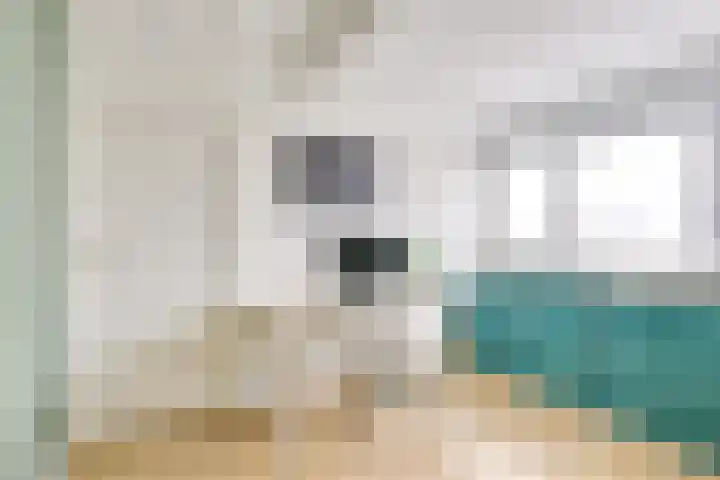 Druifstraat 6 Utrecht thumbnail 30