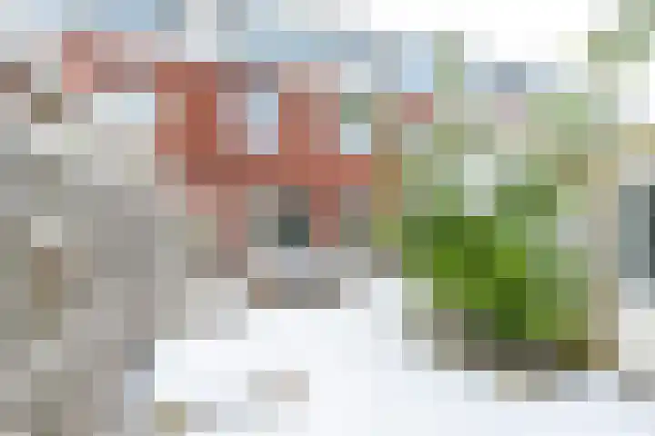 Druifstraat 6 Utrecht thumbnail 32