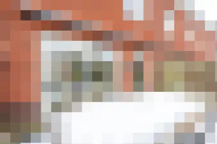 Druifstraat 6 Utrecht thumbnail 33