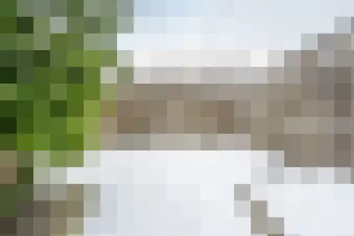 Druifstraat 6 Utrecht thumbnail 34