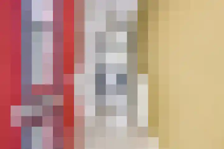 Druifstraat 6 Utrecht thumbnail 35