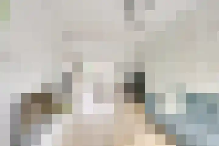 Druifstraat 6 Utrecht thumbnail 6